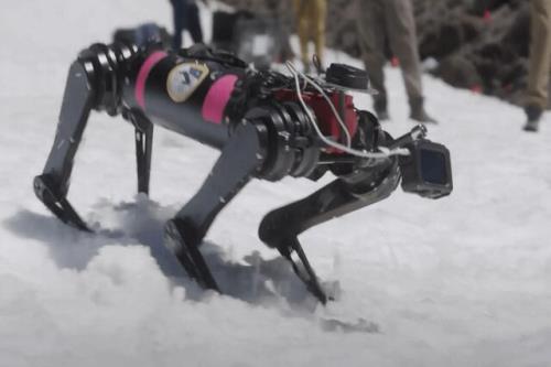 سگ های رباتیک به ناجی در ماه تبدیل می شوند